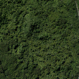 Satellite imagery of Lawry Point, NZ