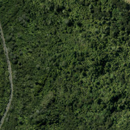Satellite imagery of Lawry Point, NZ