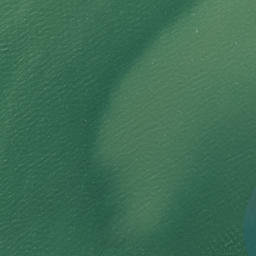 Satellite imagery of Taumatarea Point, NZ