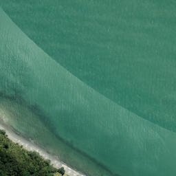 Satellite imagery of Waimangu Point, NZ