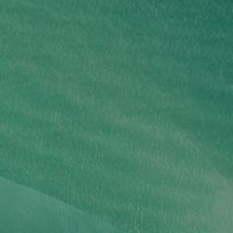 Satellite imagery of Waimangu Point, NZ