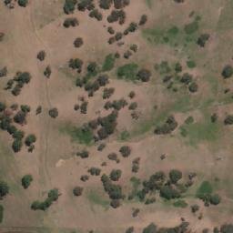 Satellite imagery of One Tree Hill, AU