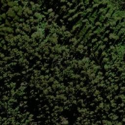 Satellite imagery of Coolangubra Mountain, AU