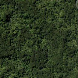 Satellite imagery of Lawry Point, NZ
