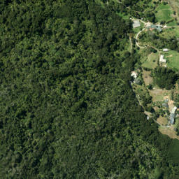 Satellite imagery of Lawry Point, NZ