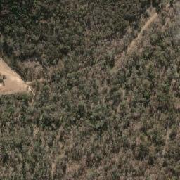 Satellite imagery of Mount Puckapunyal, AU