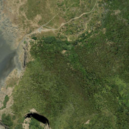 Satellite imagery of Cowan Point, NZ
