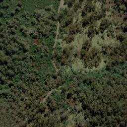 Satellite imagery of Mount Buckland, AU