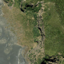 Satellite imagery of Tunnel Point, NZ