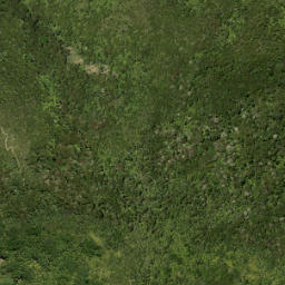 Satellite imagery of Tunnel Point, NZ