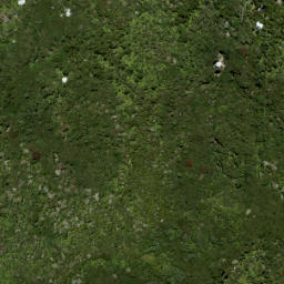 Satellite imagery of Tunnel Point, NZ