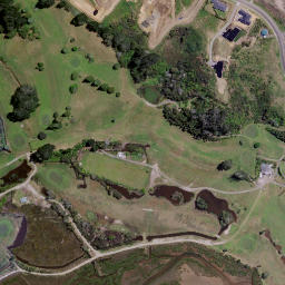 Satellite imagery of Royal Billy Point, NZ