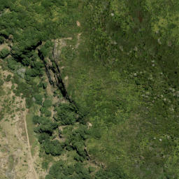 Satellite imagery of Tunnel Point, NZ