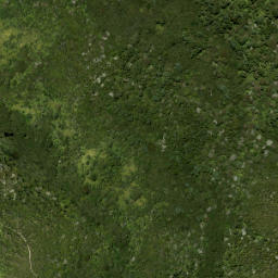 Satellite imagery of Tunnel Point, NZ