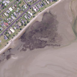 Satellite imagery of Te Huruhuru Point, NZ