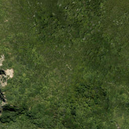 Satellite imagery of Tunnel Point, NZ