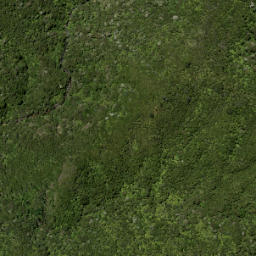 Satellite imagery of Walker Ridge, NZ