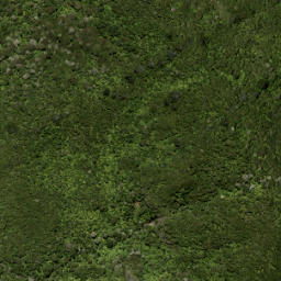 Satellite imagery of Walker Ridge, NZ
