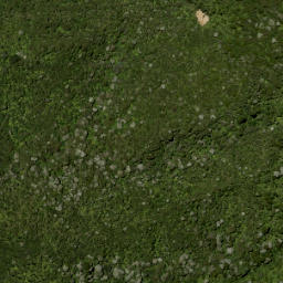 Satellite imagery of Walker Ridge, NZ