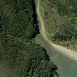 Satellite imagery of Kakamatua Point, NZ