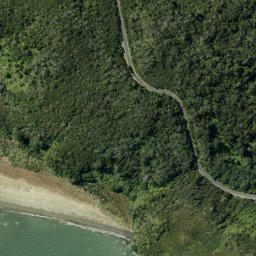 Satellite imagery of Kakamatua Point, NZ