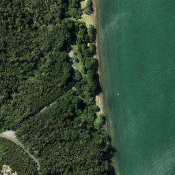 Satellite imagery of Pikaroro Point, NZ