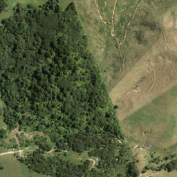 Satellite imagery of 4293, NZ