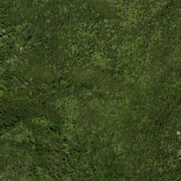 Satellite imagery of Walker Ridge, NZ