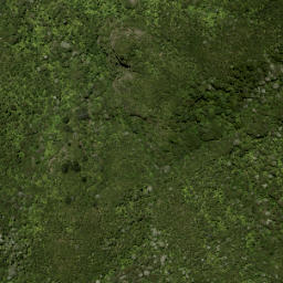 Satellite imagery of Walker Ridge, NZ