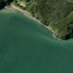 Satellite imagery of Kakamatua Point, NZ