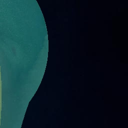 Satellite imagery of Matingarahi Point, NZ