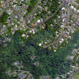 Satellite imagery of Pleasant Point, NZ