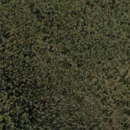 Satellite imagery of Black Mountain, AU