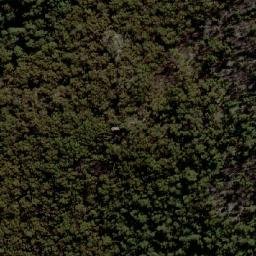 Satellite imagery of Pheasants Peak, AU