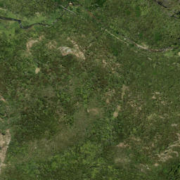 Satellite imagery of Ohaka Head, NZ