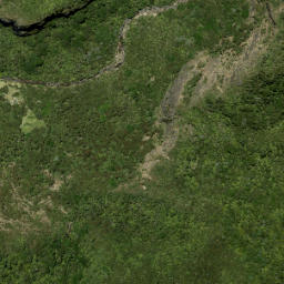 Satellite imagery of X (Waitakere SD), NZ