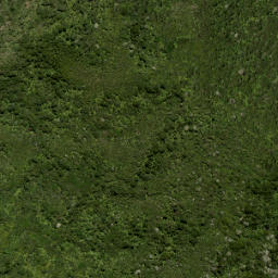 Satellite imagery of Walker Ridge, NZ
