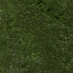 Satellite imagery of Walker Ridge, NZ