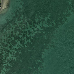 Satellite imagery of Kaitarakihi Point, NZ