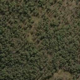 Satellite imagery of Black Mountain, AU