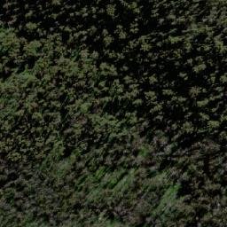 Satellite imagery of Pheasants Peak, AU