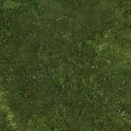 Satellite imagery of X (Waitakere SD), NZ