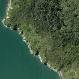 Satellite imagery of Lady Bell Point, NZ