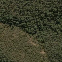 Satellite imagery of Black Mountain, AU