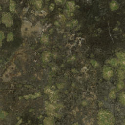 Satellite imagery of Ohaka Head, NZ