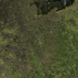 Satellite imagery of Ohaka Head, NZ