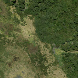 Satellite imagery of Ohaka Head, NZ