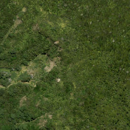 Satellite imagery of X (Waitakere SD), NZ