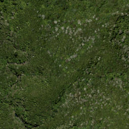 Satellite imagery of Beacon Point, NZ
