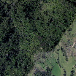 Satellite imagery of Green Point, NZ